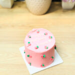 Le Bento Cake 2/3 pers